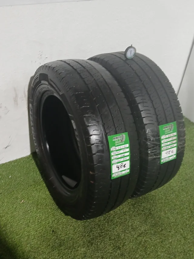 215 65 16C 109 107 T GOODYEAR EFFICIENT GRIP - Imagen 2