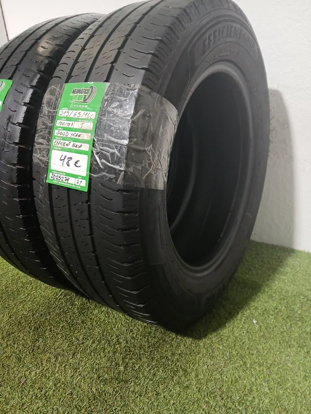 215 65 16C 109 107 T GOODYEAR EFFICIENT GRIP - Imagen 3