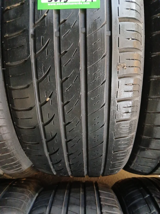 205 55 16 91W RAPID P609 - Imagen 2